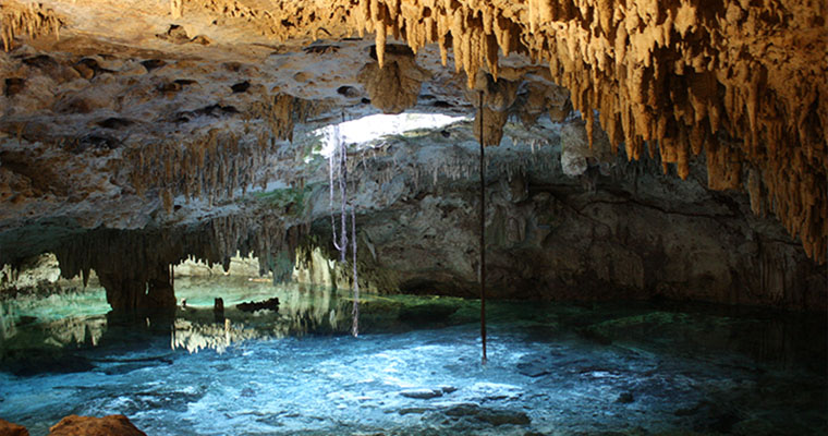 Private Cenote & Reef Snorkel 